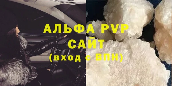 прущие грибы Покров