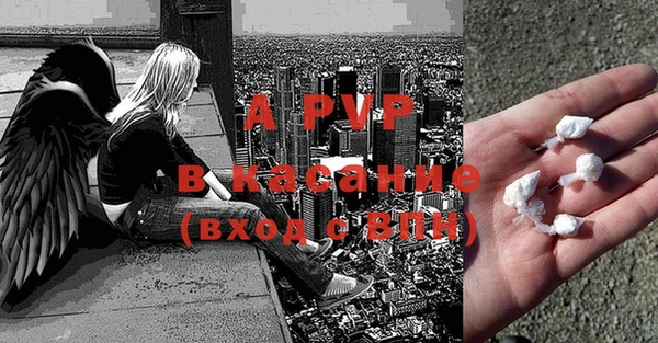 прущие грибы Покровск