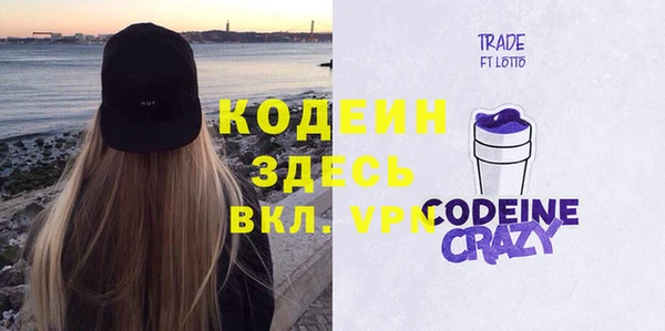 дурь Алексин